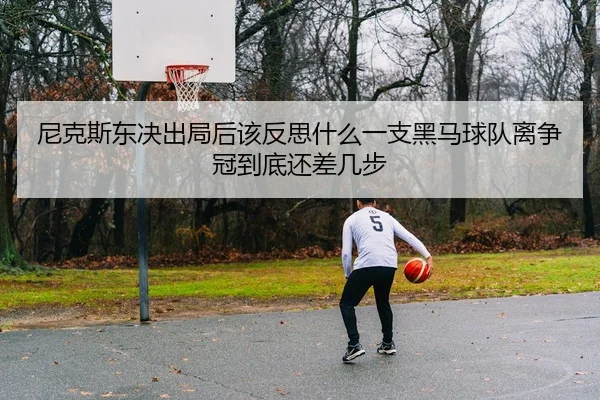 尼克斯东决出局后该反思什么一支黑马球队离争冠到底还差几步